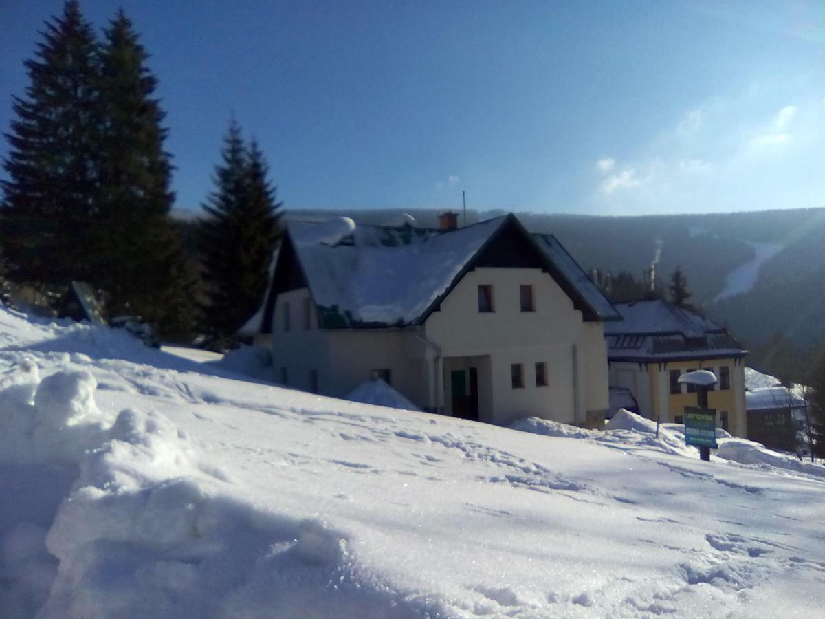 Apartament U Kobru Szpindlerowy Młyn Zewnętrze zdjęcie